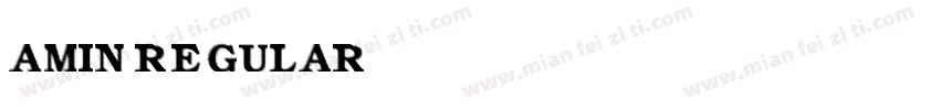 Amin Regular字体转换